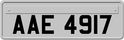 AAE4917