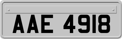 AAE4918