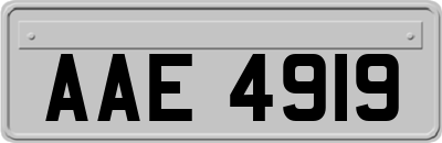 AAE4919