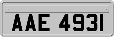 AAE4931