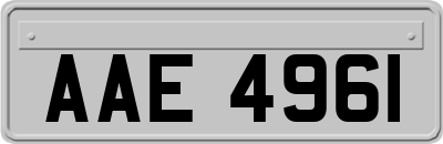 AAE4961