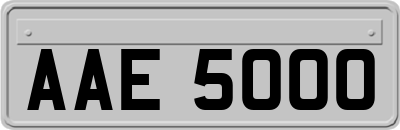 AAE5000