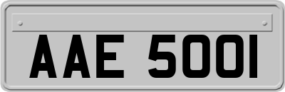 AAE5001