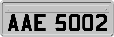 AAE5002