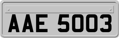 AAE5003