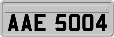 AAE5004