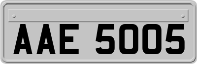 AAE5005