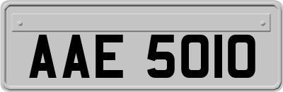 AAE5010