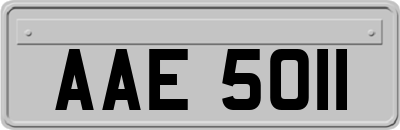 AAE5011