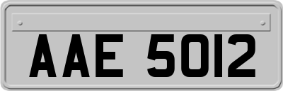 AAE5012