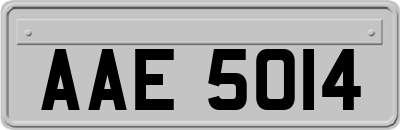 AAE5014