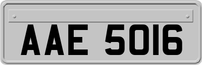 AAE5016