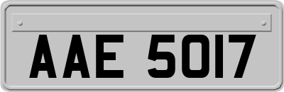 AAE5017