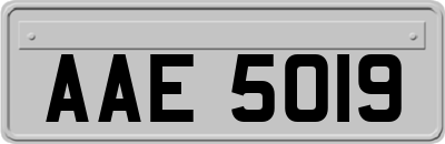 AAE5019