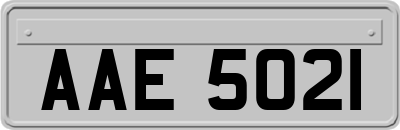 AAE5021