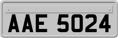 AAE5024