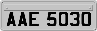 AAE5030