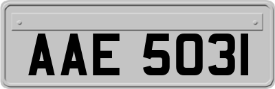 AAE5031