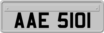 AAE5101