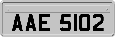 AAE5102