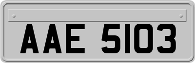 AAE5103