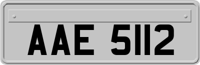 AAE5112