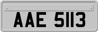 AAE5113