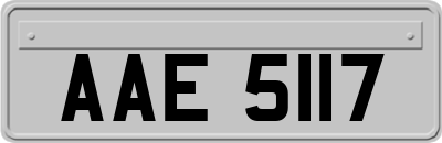 AAE5117