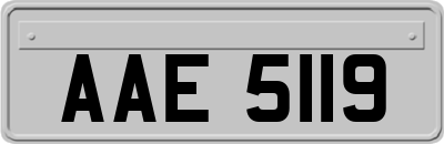 AAE5119