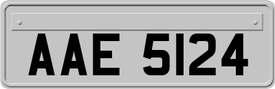 AAE5124