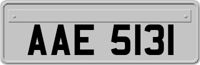 AAE5131