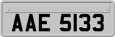 AAE5133