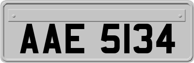 AAE5134