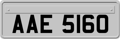 AAE5160