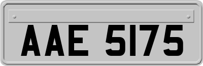 AAE5175