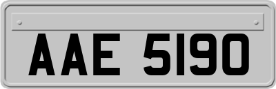 AAE5190