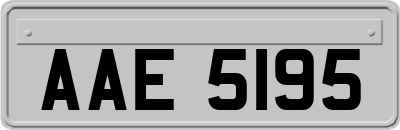 AAE5195