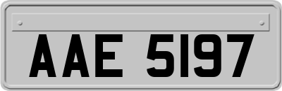 AAE5197