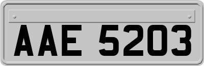 AAE5203