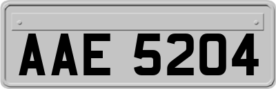 AAE5204