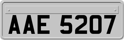 AAE5207