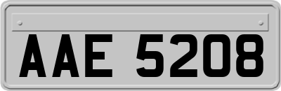 AAE5208