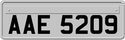 AAE5209