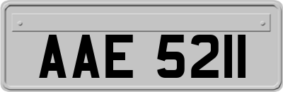 AAE5211