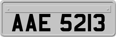 AAE5213