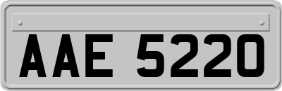 AAE5220