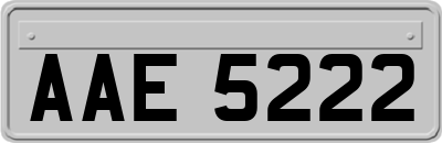 AAE5222