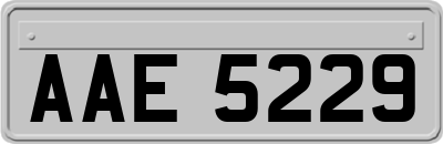 AAE5229