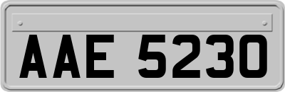 AAE5230