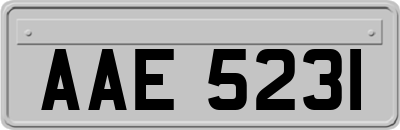 AAE5231